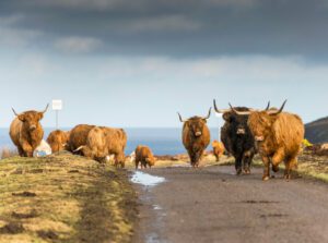 incentive edimbourg écosse