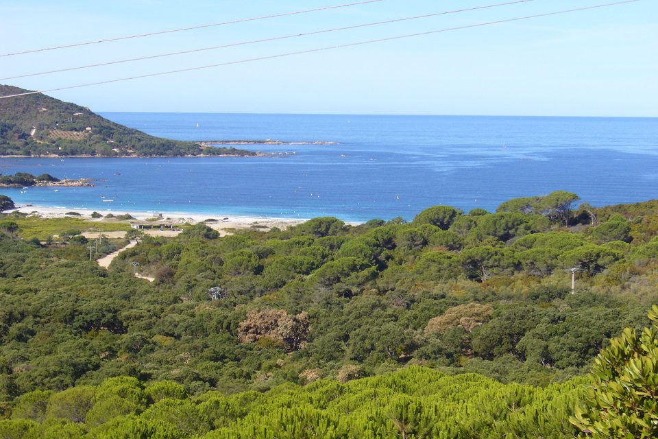 incentive corse