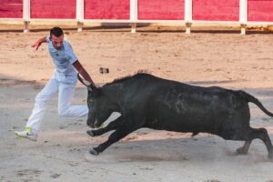 incentive camargue