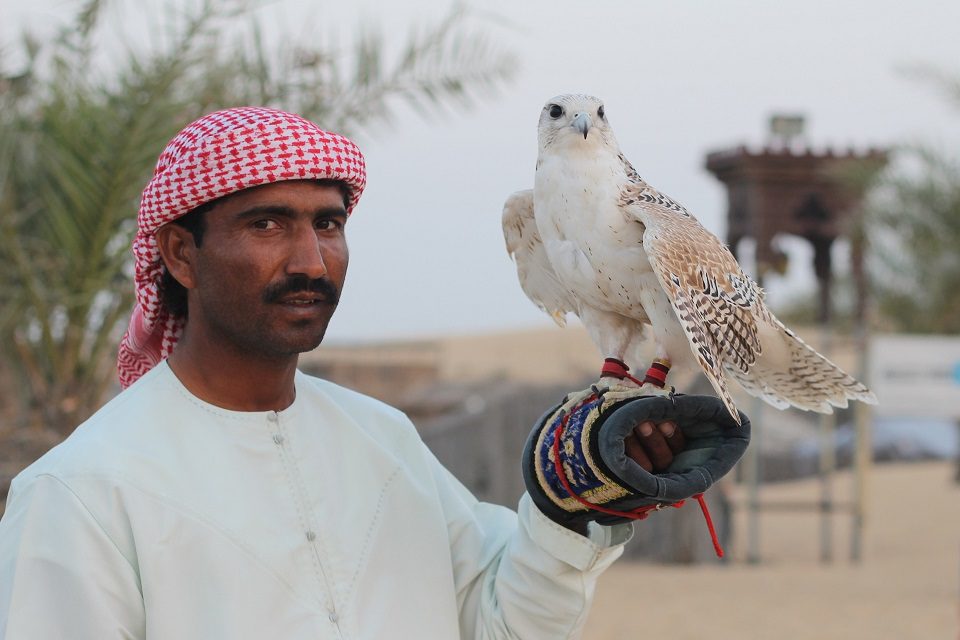 incentive dubaï