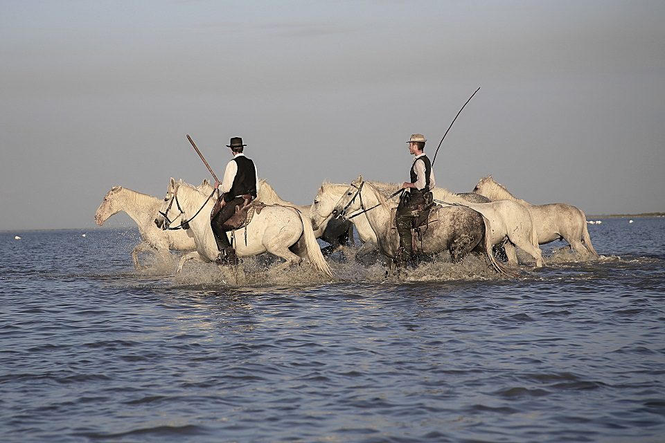 incentive camargue