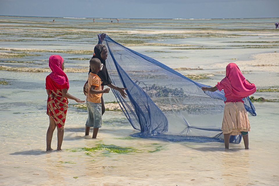 incentive tanzanie zanzibar