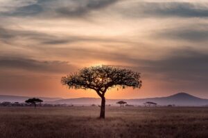 incentive tanzanie zanzibar