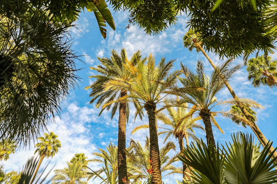 incentive maroc